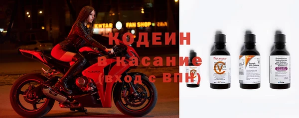 прущие грибы Балахна