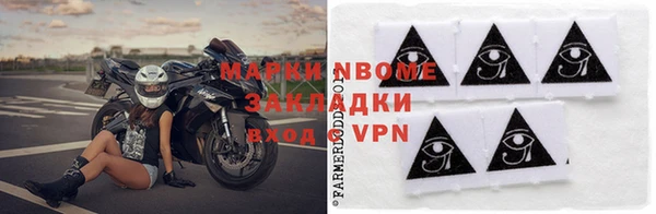 прущие грибы Балахна