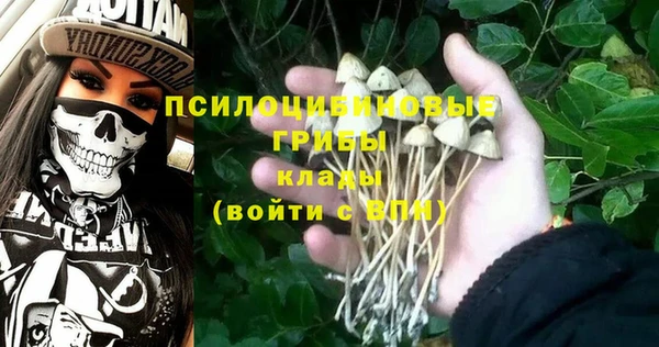 индика Баксан