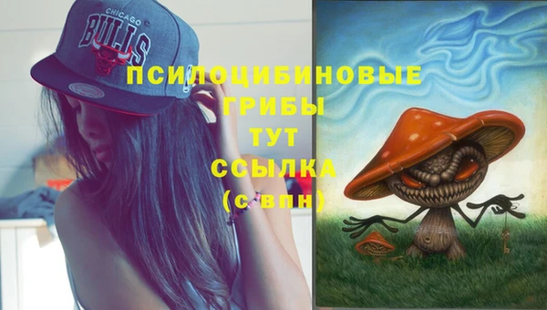 прущие грибы Балахна
