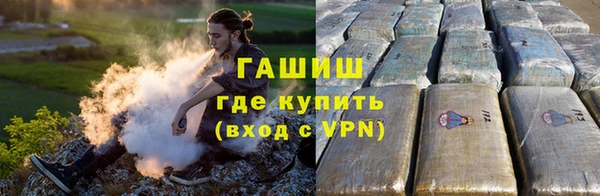 прущие грибы Балахна