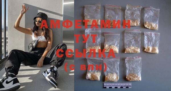 индика Баксан