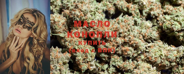 индика Баксан